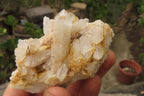 Natural Clear Quartz Clusters x 35 From Madagascar - Toprock Gemstones and Minerals 
