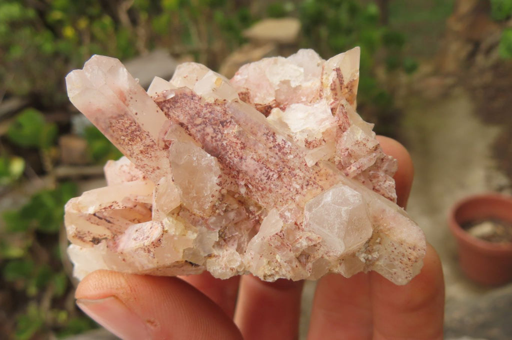 Natural Clear Quartz Clusters x 35 From Madagascar - Toprock Gemstones and Minerals 