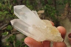 Natural Clear Quartz Clusters x 35 From Madagascar - Toprock Gemstones and Minerals 