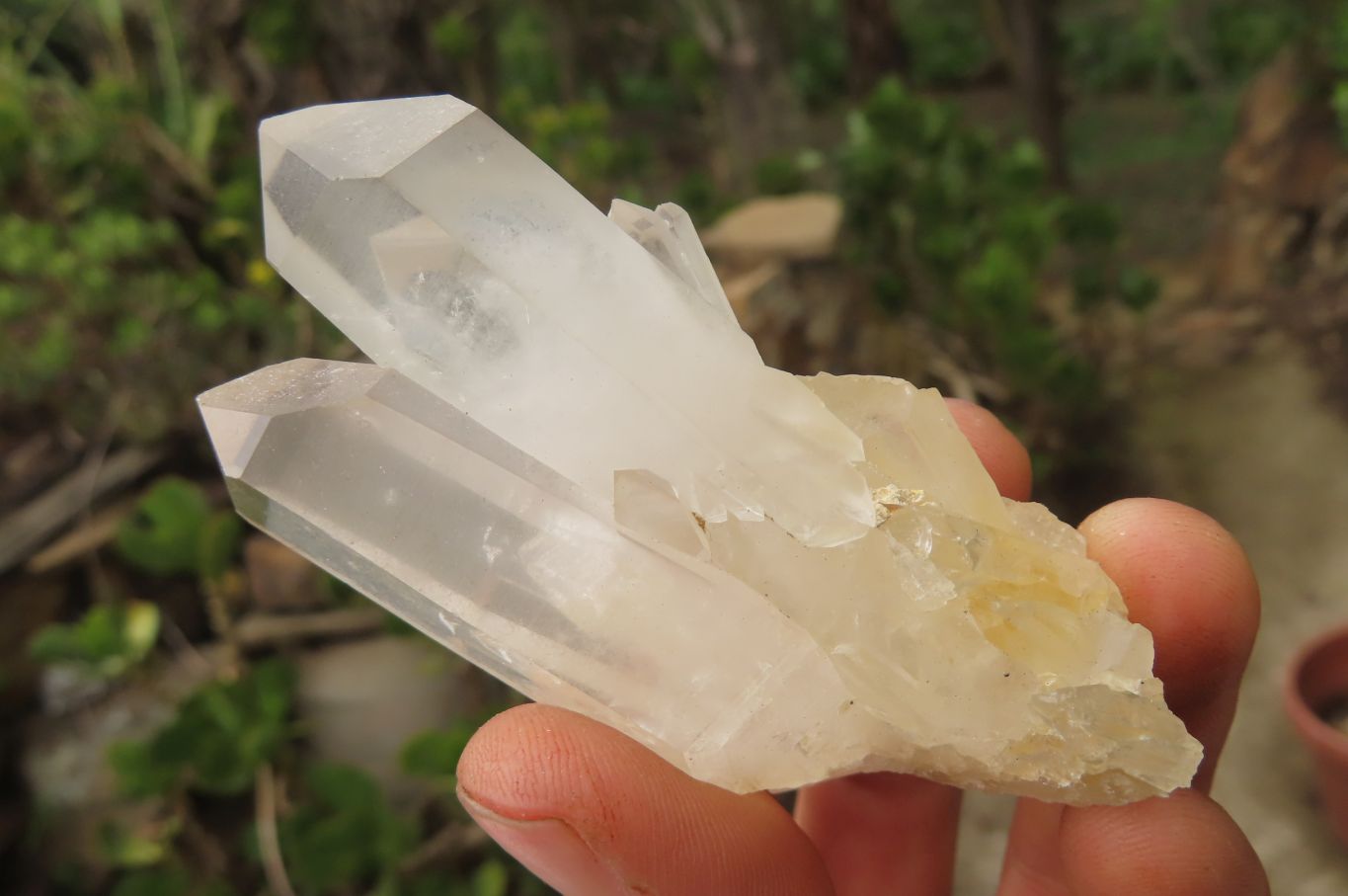 Natural Clear Quartz Clusters x 35 From Madagascar - Toprock Gemstones and Minerals 