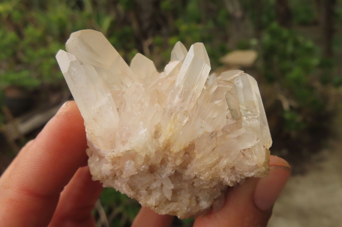 Natural Clear Quartz Clusters x 35 From Madagascar - Toprock Gemstones and Minerals 