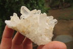 Natural Clear Quartz Clusters x 35 From Madagascar - Toprock Gemstones and Minerals 