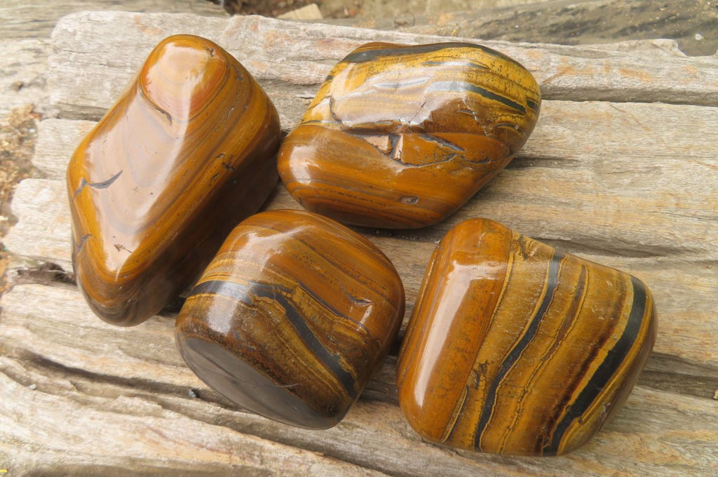 Polished Tiger's Eye Free Forms x 4 From Prieska, South Africa - Toprock Gemstones and Minerals 