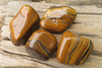 Polished Tiger's Eye Free Forms x 4 From Prieska, South Africa - Toprock Gemstones and Minerals 