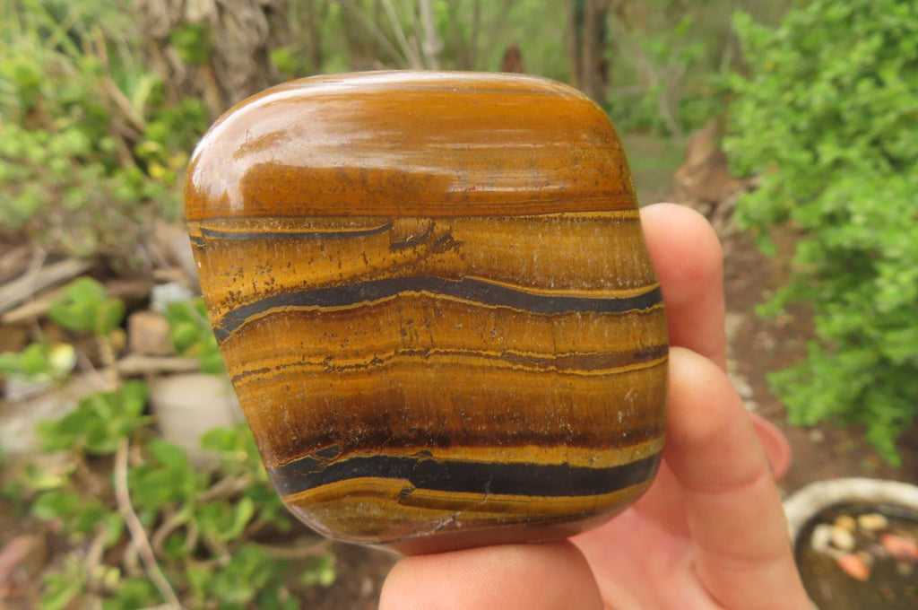 Polished Tiger's Eye Free Forms x 4 From Prieska, South Africa - Toprock Gemstones and Minerals 