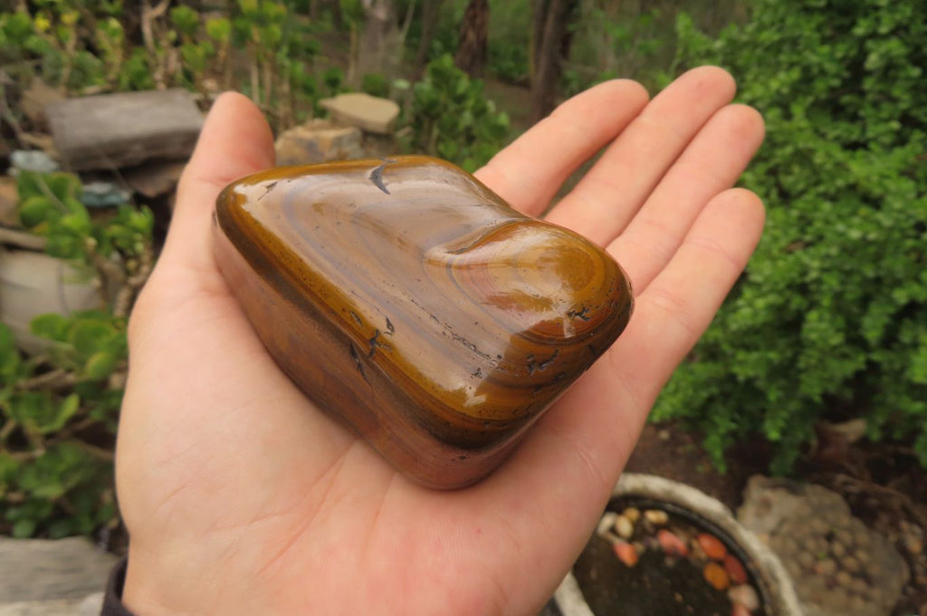 Polished Tiger's Eye Free Forms x 4 From Prieska, South Africa - Toprock Gemstones and Minerals 