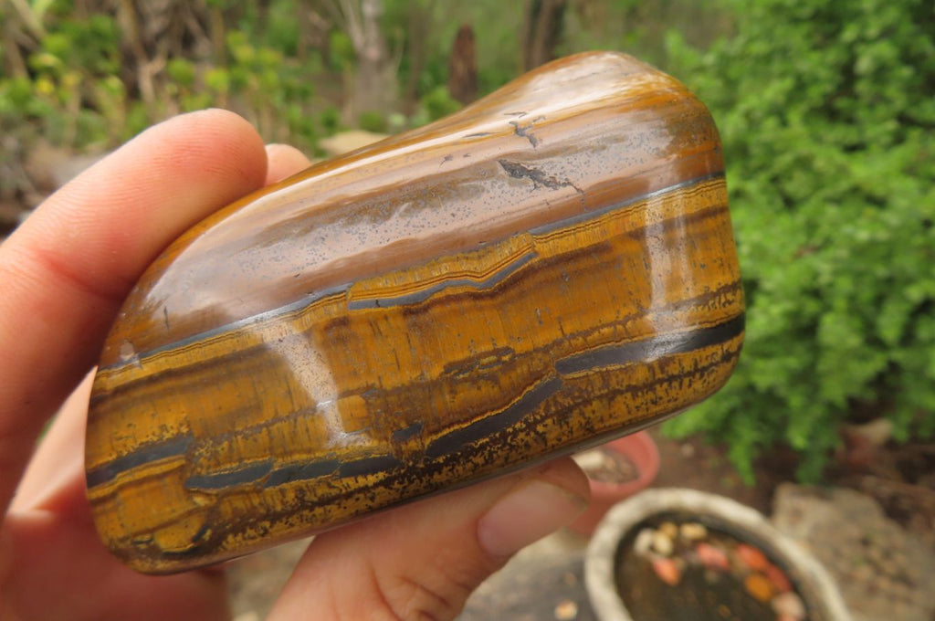 Polished Tiger's Eye Free Forms x 4 From Prieska, South Africa - Toprock Gemstones and Minerals 