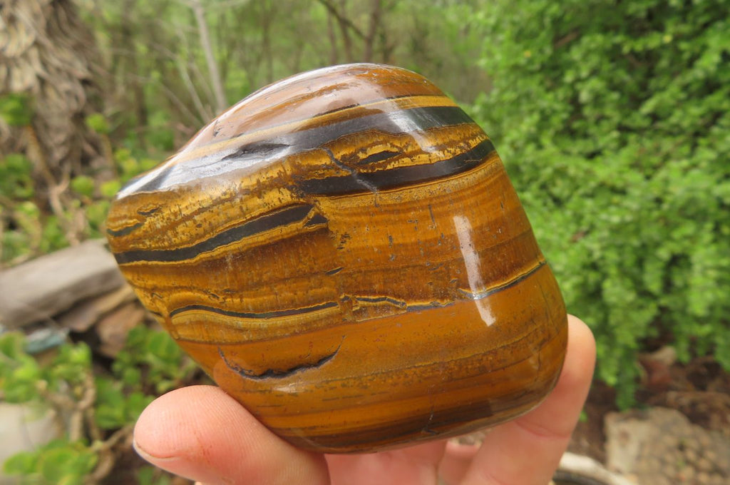 Polished Tiger's Eye Free Forms x 4 From Prieska, South Africa - Toprock Gemstones and Minerals 