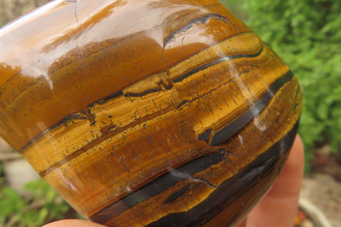 Polished Tiger's Eye Free Forms x 4 From Prieska, South Africa - Toprock Gemstones and Minerals 