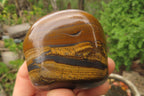 Polished Tiger's Eye Free Forms x 4 From Prieska, South Africa - Toprock Gemstones and Minerals 