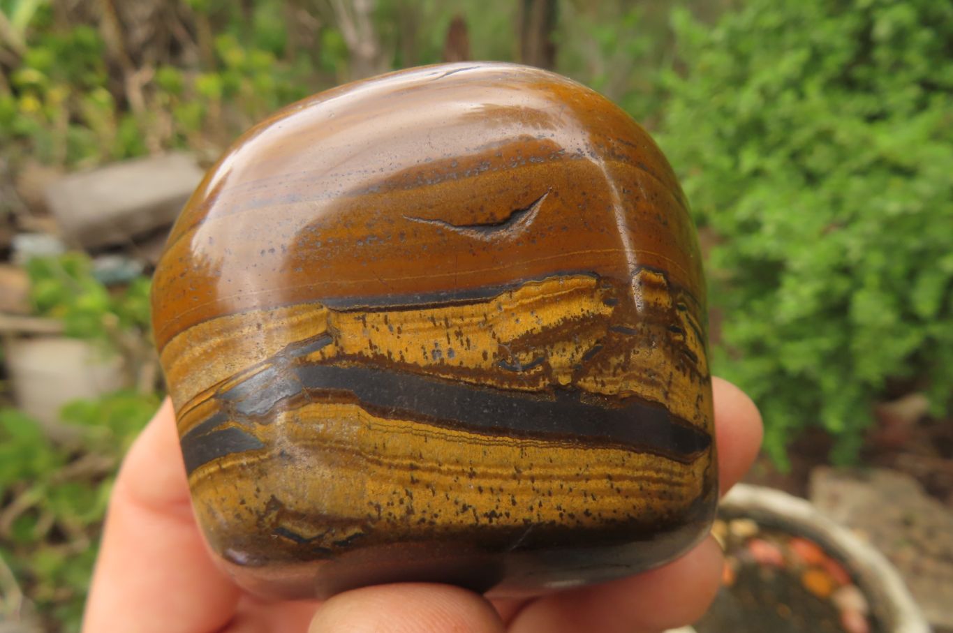 Polished Tiger's Eye Free Forms x 4 From Prieska, South Africa - Toprock Gemstones and Minerals 