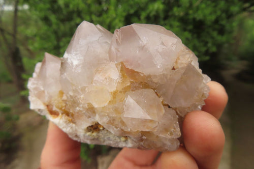 Natural Spirit Quartz Clusters x 6 From Boekenhouthoek, South Africa - Toprock Gemstones and Minerals 