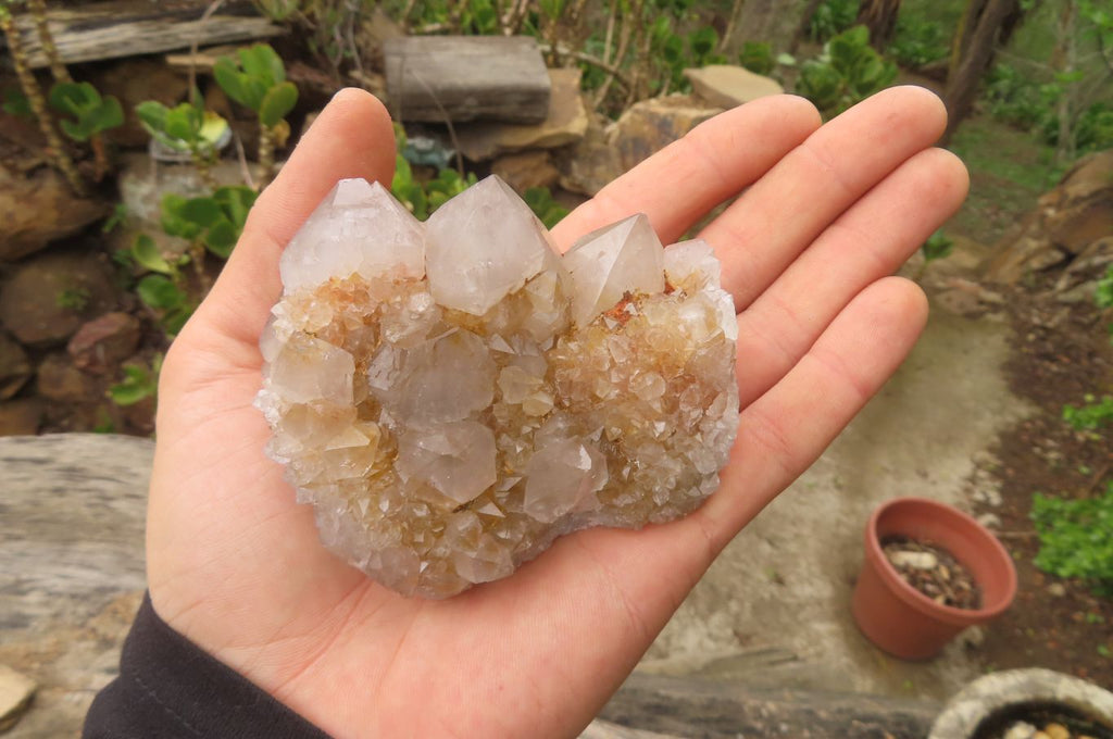 Natural Spirit Quartz Clusters x 6 From Boekenhouthoek, South Africa - Toprock Gemstones and Minerals 