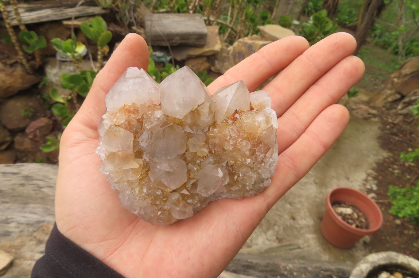 Natural Spirit Quartz Clusters x 6 From Boekenhouthoek, South Africa - Toprock Gemstones and Minerals 