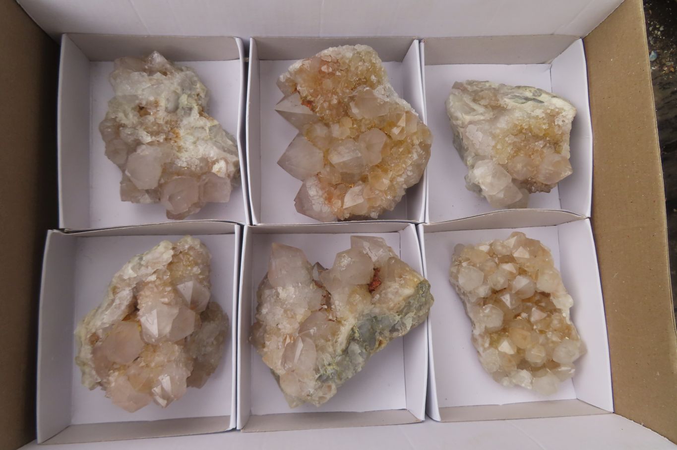 Natural Spirit Quartz Clusters x 6 From Boekenhouthoek, South Africa - Toprock Gemstones and Minerals 