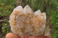 Natural Spirit Quartz Clusters x 6 From Boekenhouthoek, South Africa - Toprock Gemstones and Minerals 