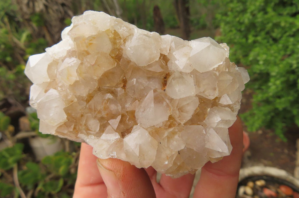 Natural Spirit Quartz Clusters x 6 From Boekenhouthoek, South Africa - Toprock Gemstones and Minerals 