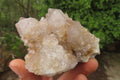 Natural Spirit Quartz Clusters x 6 From Boekenhouthoek, South Africa - Toprock Gemstones and Minerals 