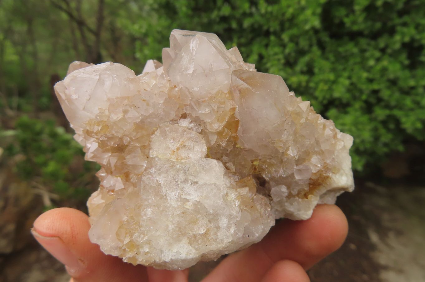 Natural Spirit Quartz Clusters x 6 From Boekenhouthoek, South Africa - Toprock Gemstones and Minerals 
