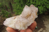 Natural Spirit Quartz Clusters x 6 From Boekenhouthoek, South Africa - Toprock Gemstones and Minerals 