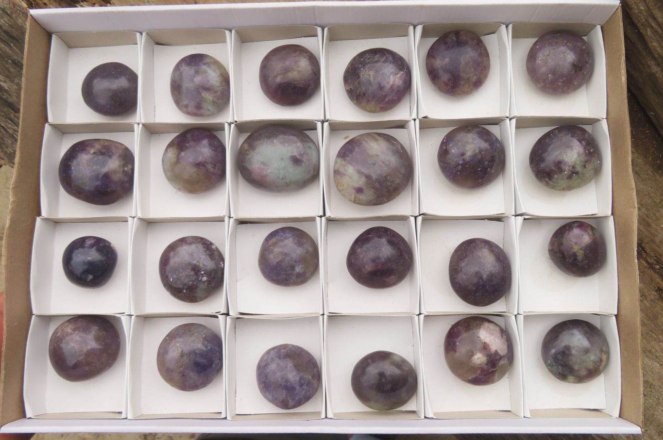 Polished Lepidolite with Pink Rubellite Palm Stones x 24 From Ambatondrazaka, Madagascar - Toprock Gemstones and Minerals 