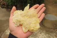 Natural Mixed Quartz Clusters x 24 From Madagascar - Toprock Gemstones and Minerals 