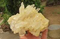 Natural Mixed Quartz Clusters x 24 From Madagascar - Toprock Gemstones and Minerals 