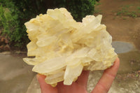 Natural Mixed Quartz Clusters x 24 From Madagascar - Toprock Gemstones and Minerals 