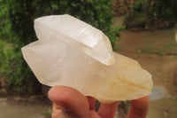Natural Mixed Quartz Clusters x 24 From Madagascar - Toprock Gemstones and Minerals 