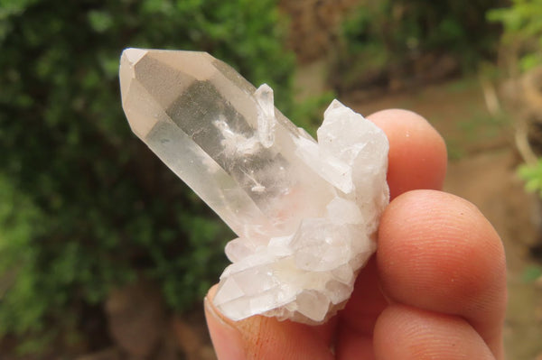 Natural Mixed Quartz Clusters x 24 From Madagascar - Toprock Gemstones and Minerals 