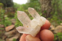 Natural Mixed Quartz Clusters x 24 From Madagascar - Toprock Gemstones and Minerals 