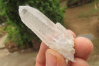 Natural Clear Quartz Crystals x 35 From Zambia - Toprock Gemstones and Minerals 