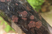 Polished Iolite Points x 3 From Ambatofinandrahana, Madagascar - Toprock Gemstones and Minerals 