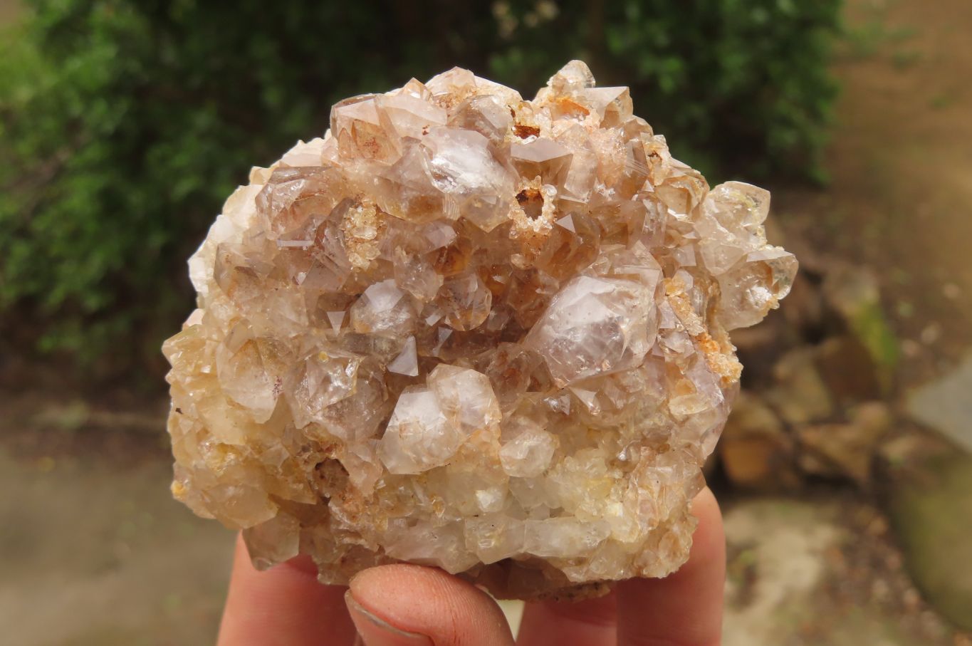 Natural Limonite Quartz Clusters x 4 From Zambia - Toprock Gemstones and Minerals 