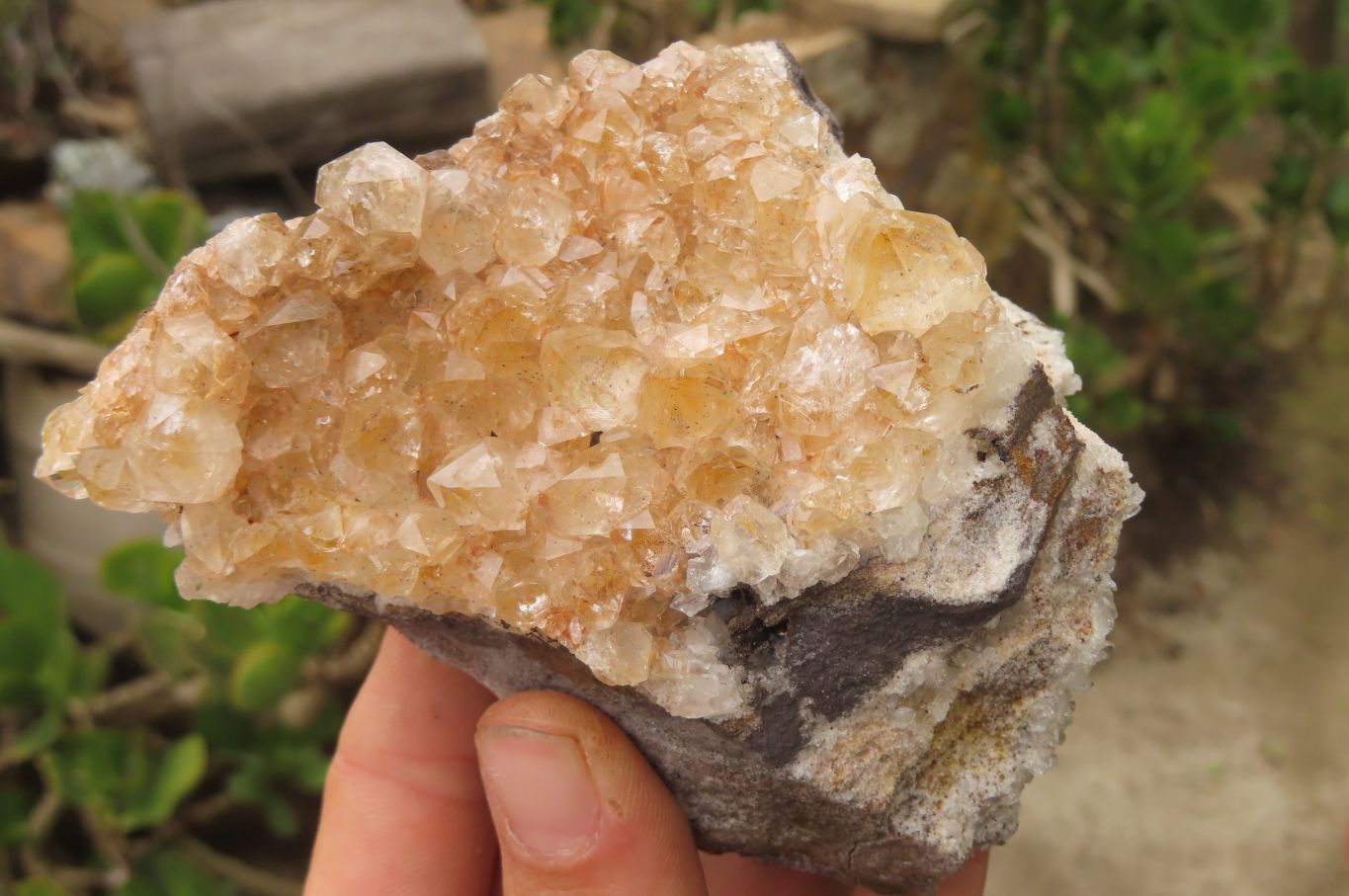 Natural Limonite Quartz Clusters x 4 From Zambia - Toprock Gemstones and Minerals 