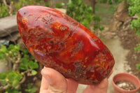 Polished Carnelian Standing Free Forms x 4 From Madagascar - Toprock Gemstones and Minerals 