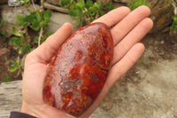 Polished Carnelian Standing Free Forms x 4 From Madagascar - Toprock Gemstones and Minerals 
