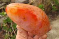 Polished Carnelian Standing Free Forms x 4 From Madagascar - Toprock Gemstones and Minerals 