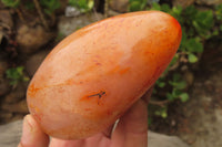 Polished Carnelian Standing Free Forms x 4 From Madagascar - Toprock Gemstones and Minerals 
