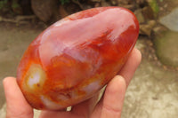 Polished Carnelian Standing Free Forms x 4 From Madagascar - Toprock Gemstones and Minerals 
