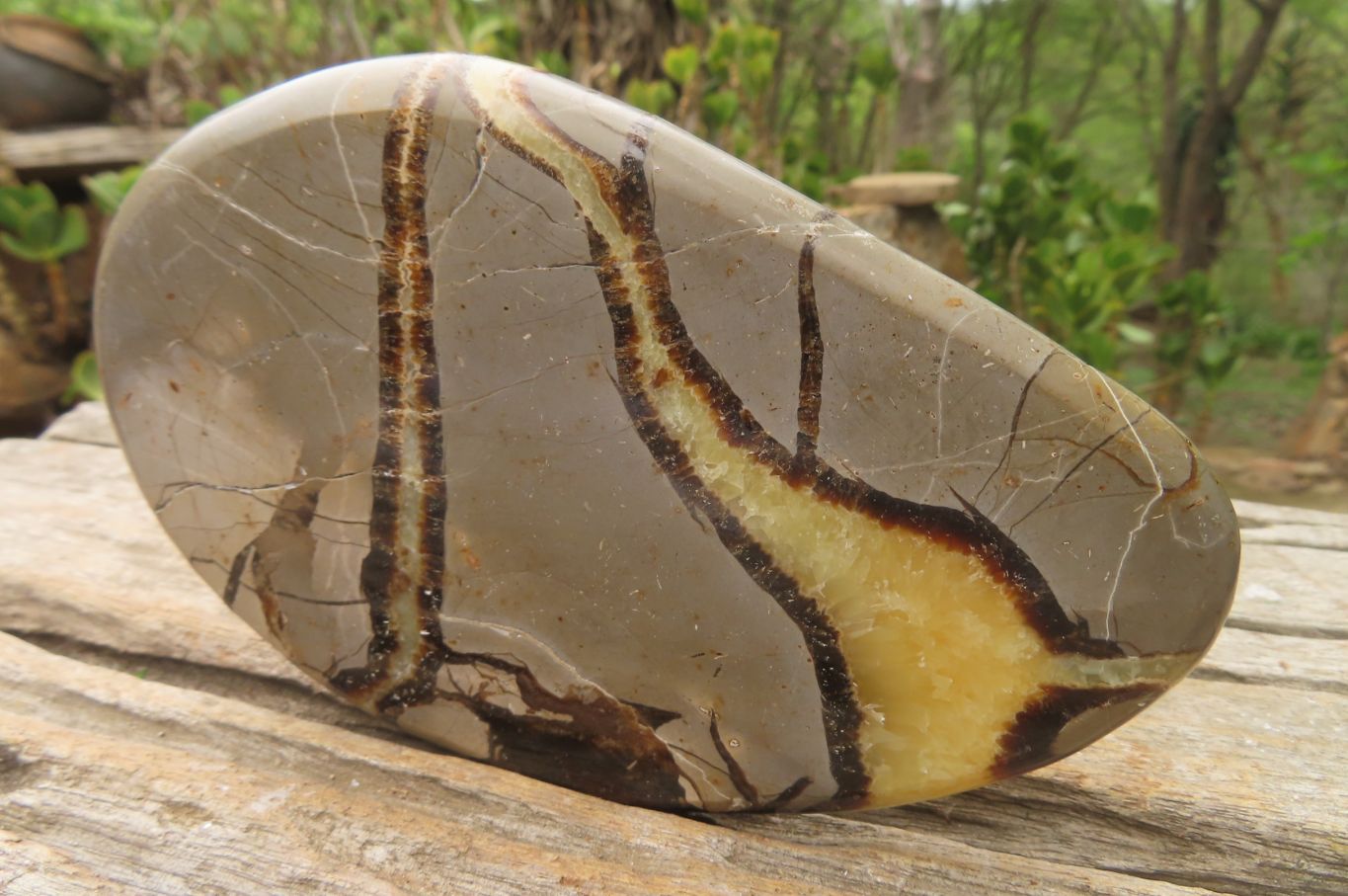 Polished Septerye Slices x 6 From Madagascar - Toprock Gemstones and Minerals 