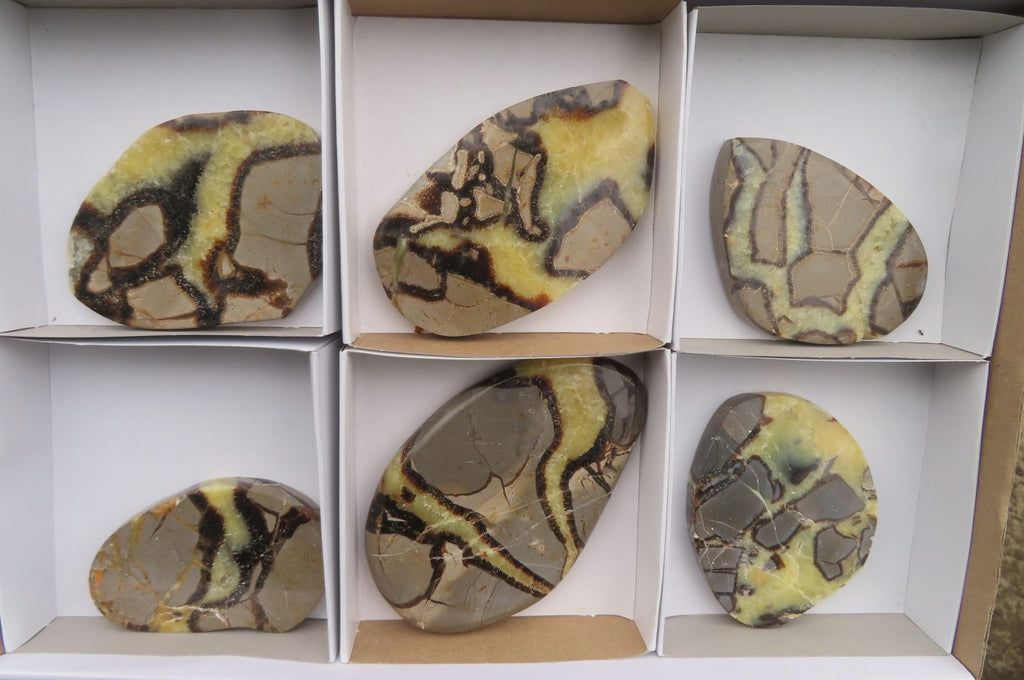 Polished Septerye Slices x 6 From Madagascar - Toprock Gemstones and Minerals 