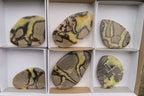 Polished Septerye Slices x 6 From Madagascar - Toprock Gemstones and Minerals 