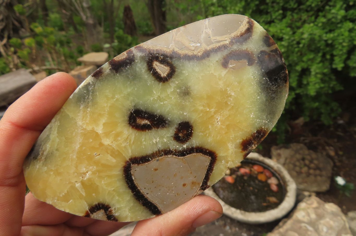 Polished Septerye Slices x 6 From Madagascar - Toprock Gemstones and Minerals 