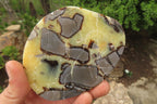 Polished Septerye Slices x 6 From Madagascar - Toprock Gemstones and Minerals 