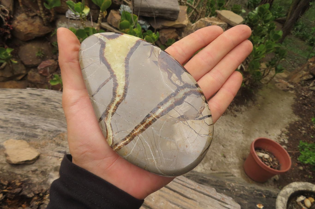 Polished Septerye Slices x 6 From Madagascar - Toprock Gemstones and Minerals 