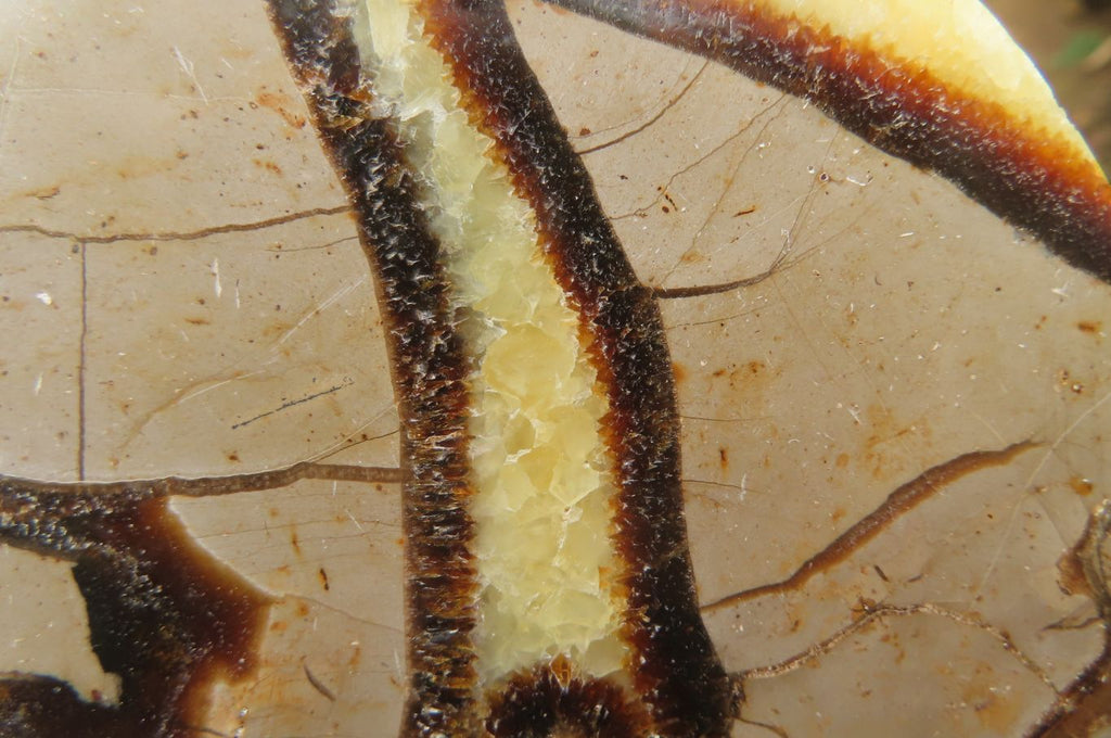 Polished Septerye Slices x 6 From Madagascar - Toprock Gemstones and Minerals 