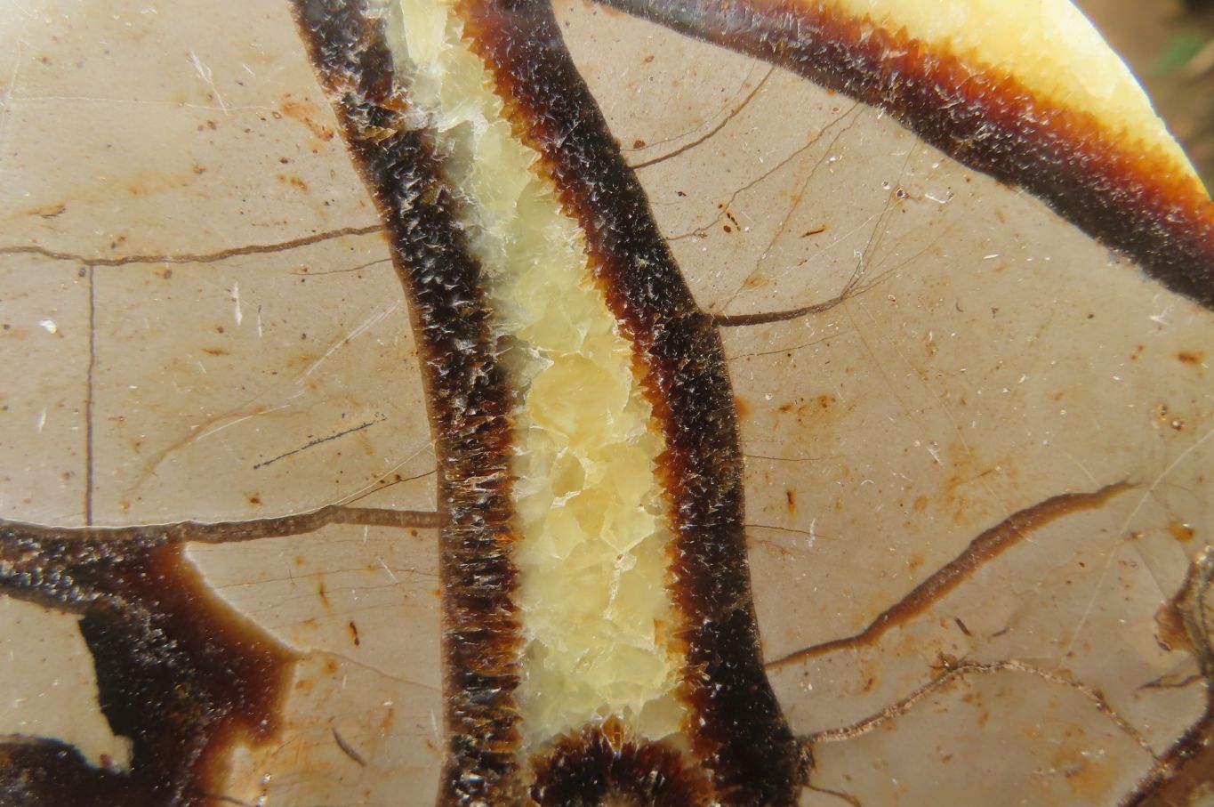 Polished Septerye Slices x 6 From Madagascar - Toprock Gemstones and Minerals 