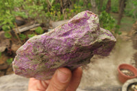 Natural Stichtite Cobbed Specimens x 6 From Barberton, South Africa - Toprock Gemstones and Minerals 