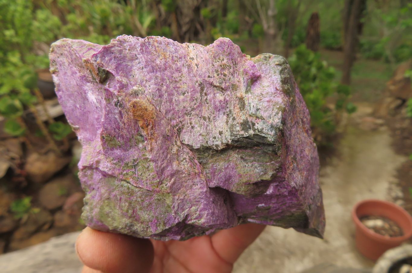 Natural Stichtite Cobbed Specimens x 6 From Barberton, South Africa - Toprock Gemstones and Minerals 